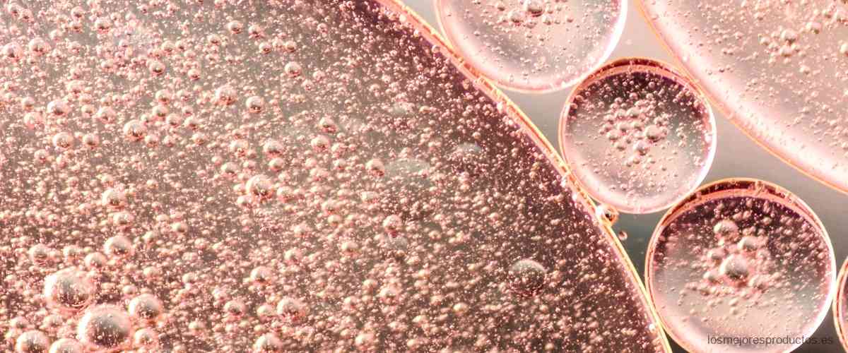 ¿Funciona realmente la crema de células madre de Mercadona según las opiniones?