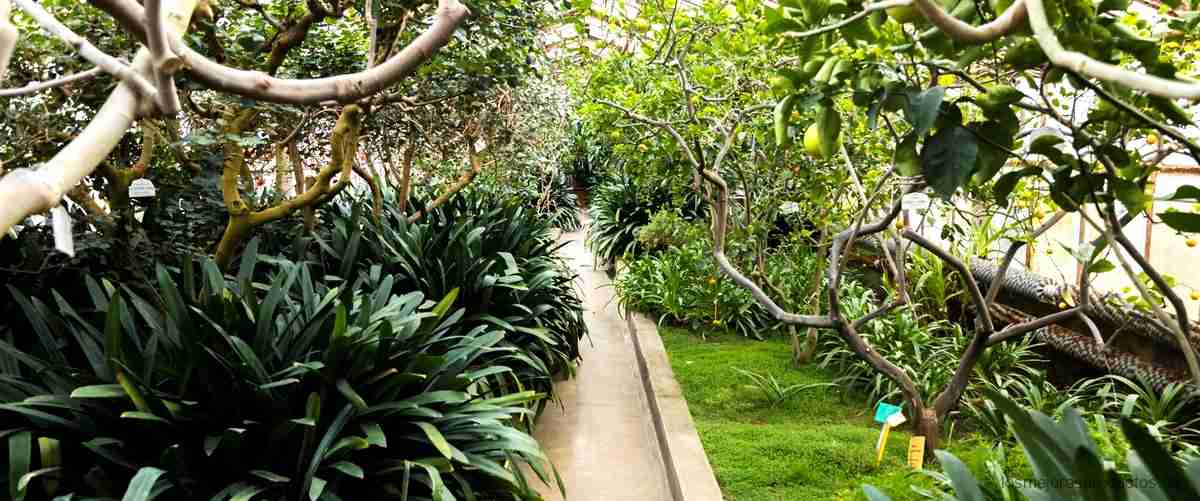 Hipercor Jardín 2016: Las mejores ideas para renovar tu jardín
