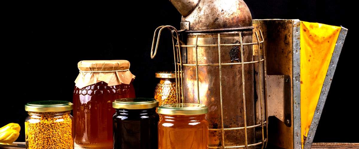 Honey Holly: botellas reutilizables que marcan tendencia en el cuidado del planeta.
