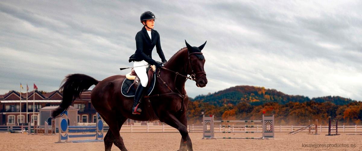 Horslyx Decathlon: la elección perfecta para cuidar a tu caballo
