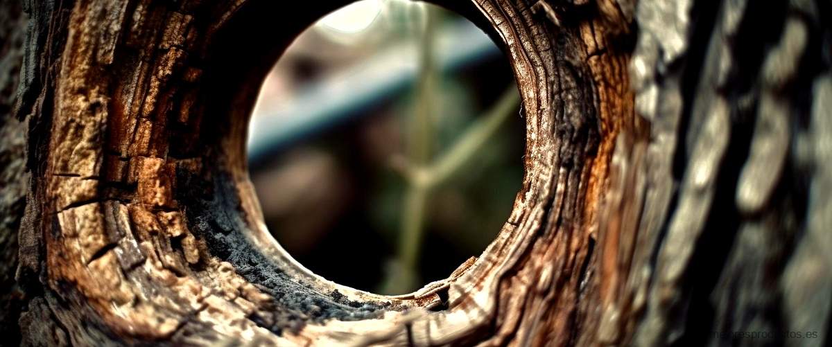 Hule efecto madera: la opción versátil para tu estilo rústico