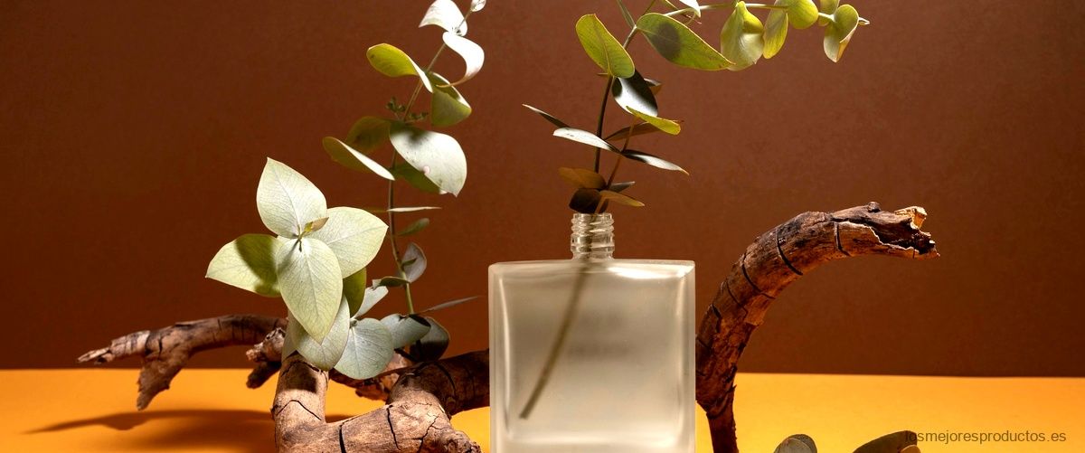 Iberaroma Perfumes: Catálogo completo de fragancias irresistibles