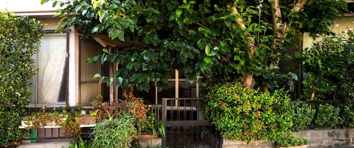 Ideas para decorar tu patio con un grifo exterior de pared