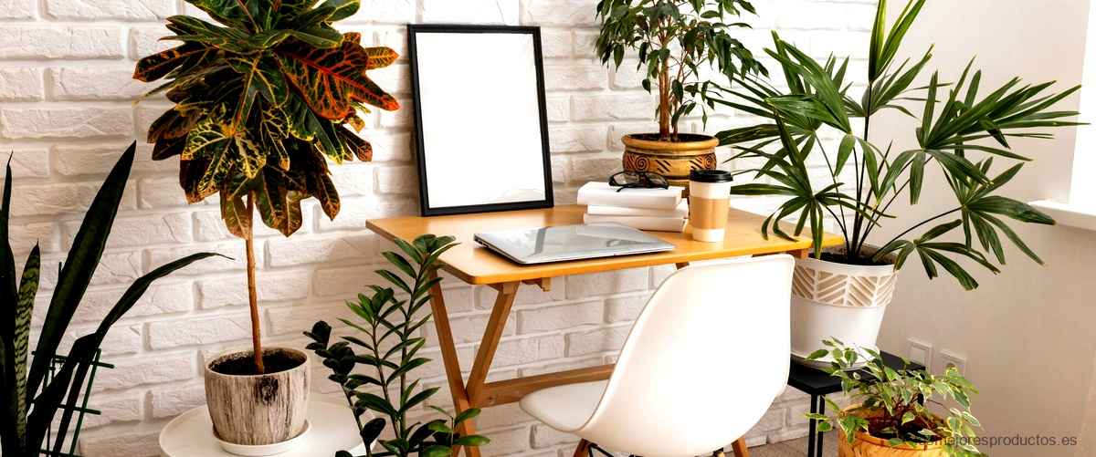 Kentia Ikea: Dale vida a tu hogar con esta hermosa planta