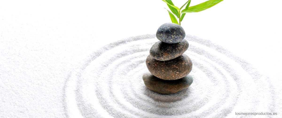 La figura zen: Un símbolo de serenidad y equilibrio