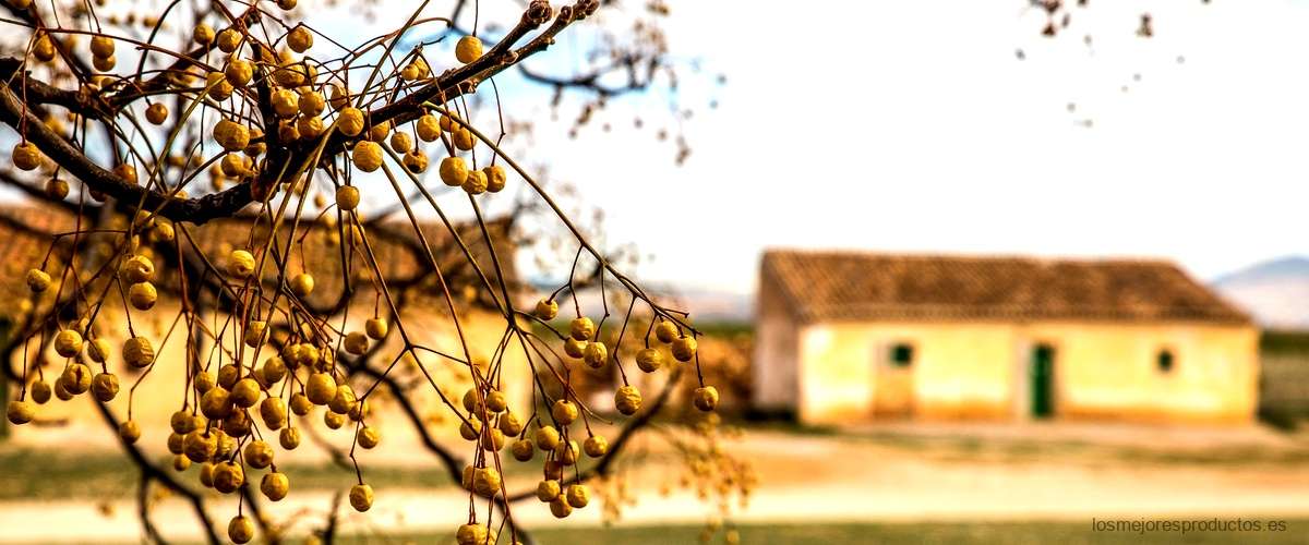 La Malcriada Dulce: El vino perfecto para disfrutar de momentos de tranquilidad