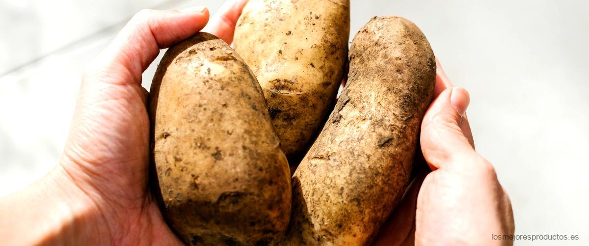 La proteína de patata de Mercadona: una opción saludable y sostenible