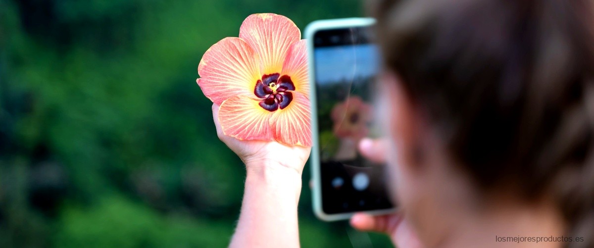 La Xiaomi Yi Fnac: la cámara ideal para los amantes de la fotografía