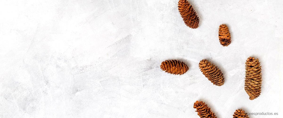 Las castañas congeladas de Lidl: una deliciosa elección para el otoño