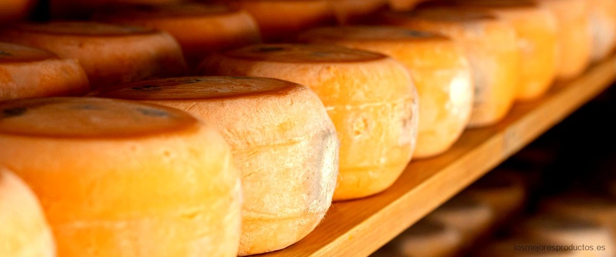Las increíbles características del queso Valle de San Juan que lo hacen irresistible