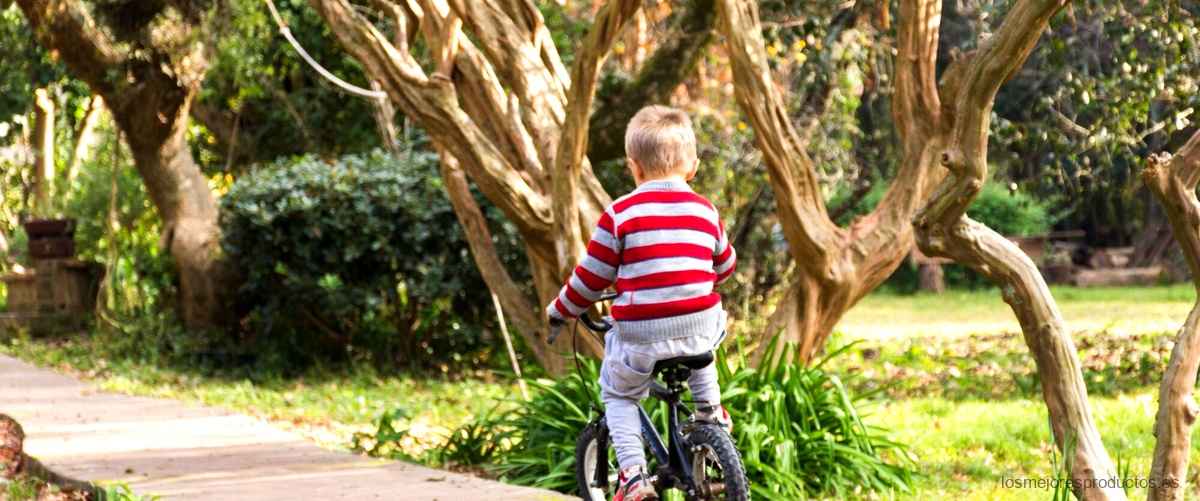 Lidl triciclo evolutivo: crece junto a tu bebé
