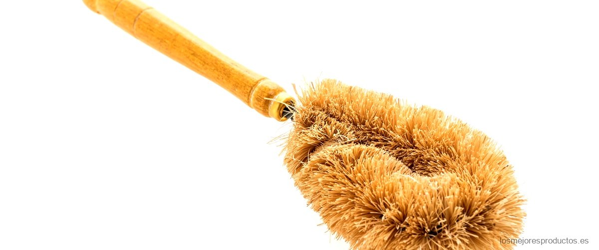 Los mejores cepillos de limpieza Mercadona para tu hogar