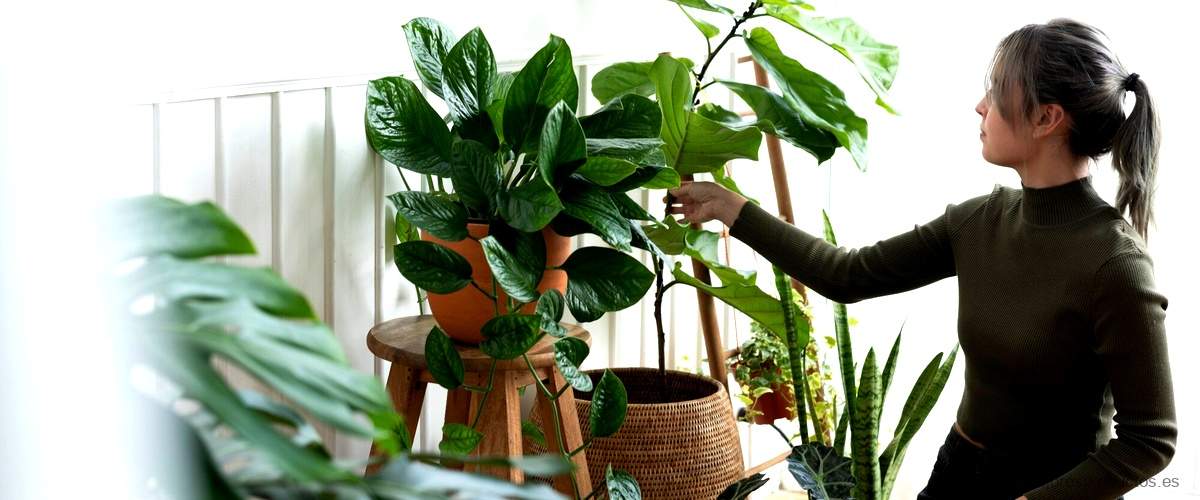 Macetas con ruedas: la solución perfecta para un jardín versátil y moderno