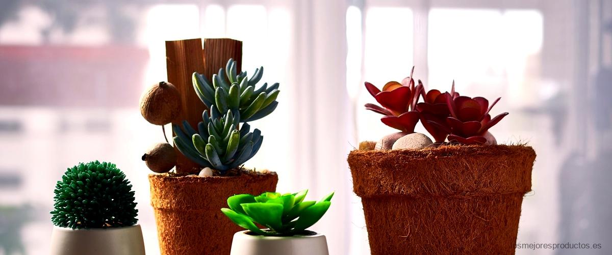 Maceteros de madera con patas: un toque vintage para tus plantas de interior