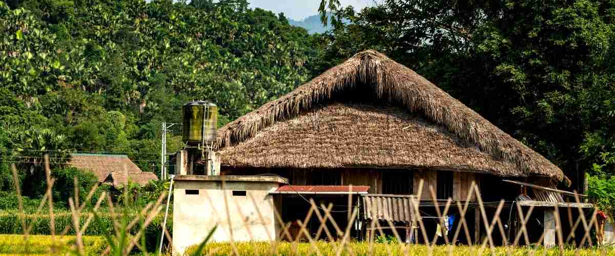 Maison Karité Amazon: la clave para una belleza natural y saludable