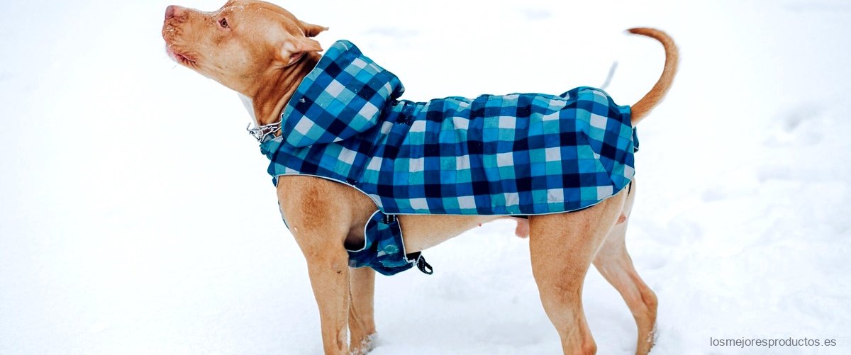 Mantén a tu perro abrigado y a la moda con Outtech abrigo perro
