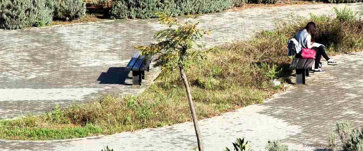 Mantén tu jardín impecable con un cortacésped de segunda mano en Coruña