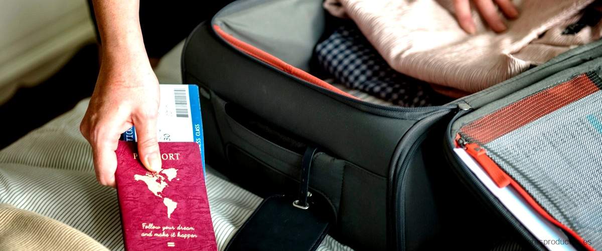 Mantén tus documentos seguros con la funda pasaporte Carrefour