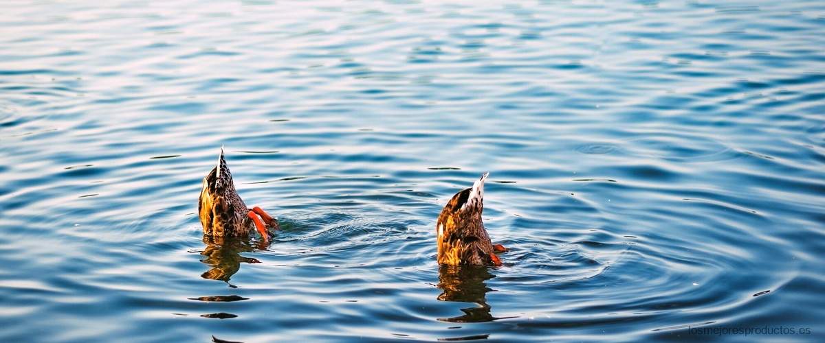 Mejora tu rendimiento en el agua con las aletas para pato Decathlon