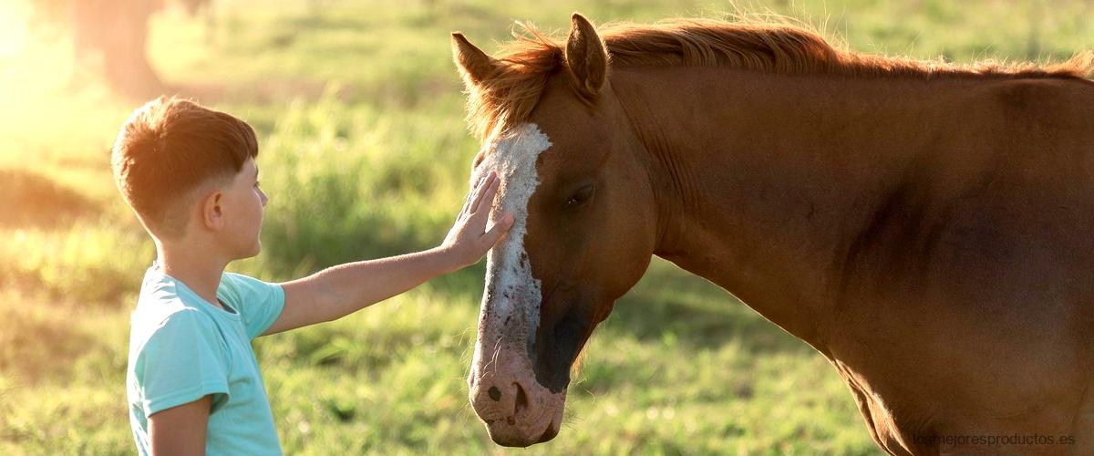 ¿Necesitas un bebedero de agua para tu caballo? Descubre las opciones de Decathlon
