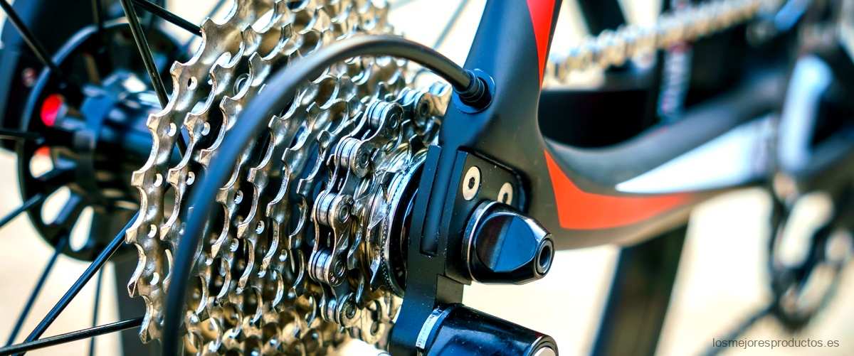 Opiniones sobre las bicicletas Bottecchia: ¿por qué elegir la FX 109?