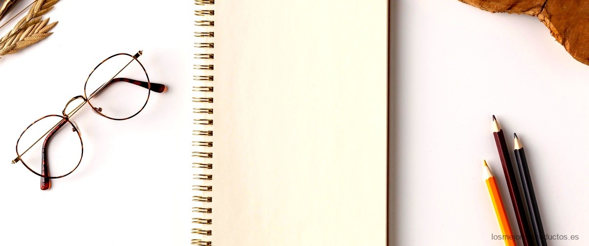 Organiza tus pensamientos con el Journaling notebook