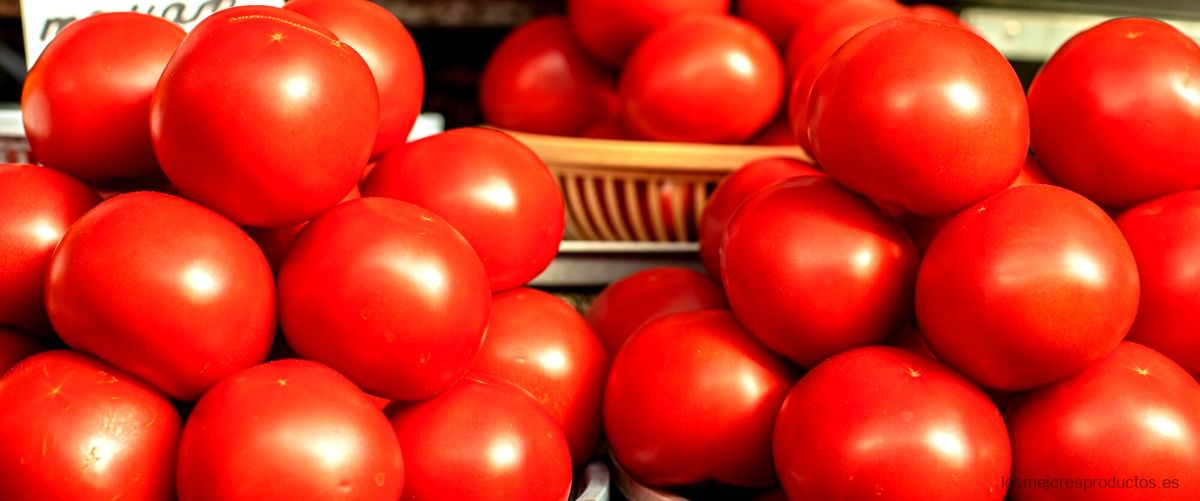 Peladora de tomates industrial: la opción ideal para la producción en gran escala