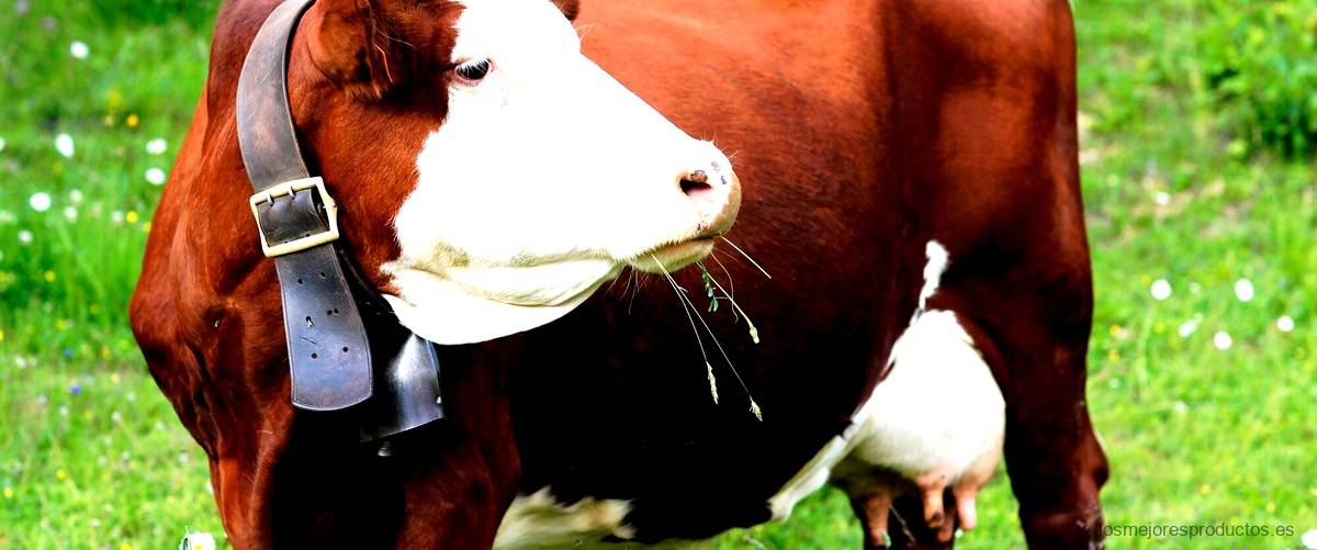 Pica eléctrica para ganado: la solución ideal para el manejo y control de tu ganado