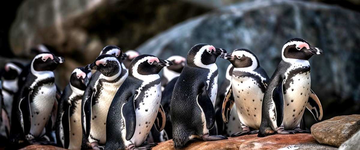¿Por qué los pinguinos Daikin son la solución ideal para tu aire acondicionado?
