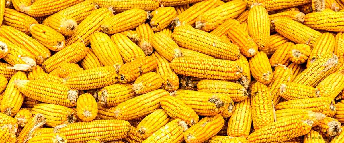 Pregunta: ¿Cuál es la diferencia entre la glucosa y el jarabe de maíz?