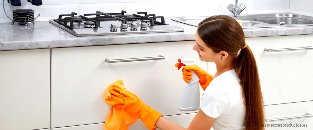 Protector de fregadero: la solución perfecta para mantener tu cocina impecable