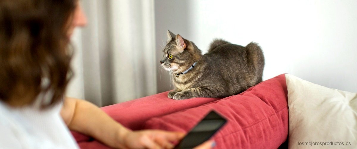 ¿Qué beneficios tiene el pienso Gosbi para gatos esterilizados?