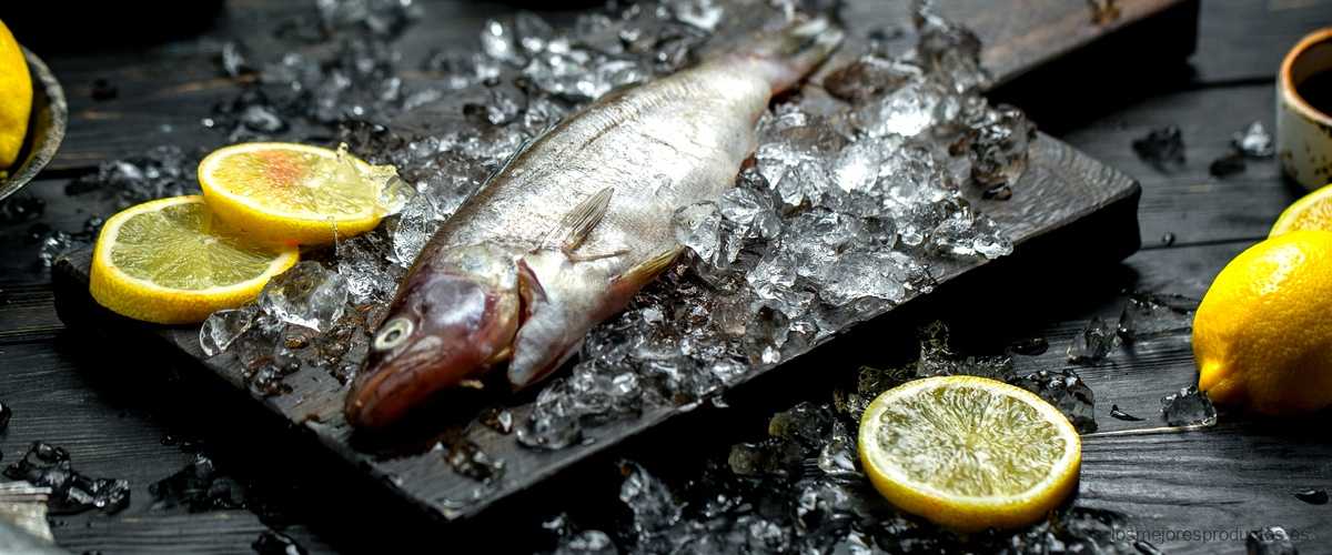 ¿Qué comida casera se le puede dar a los peces de acuario?