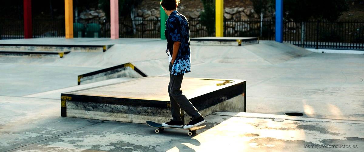 ¿Qué compone un skatepark?