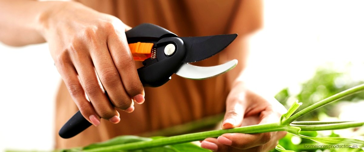 ¿Qué cuchilla es mejor para una desbrozadora?
