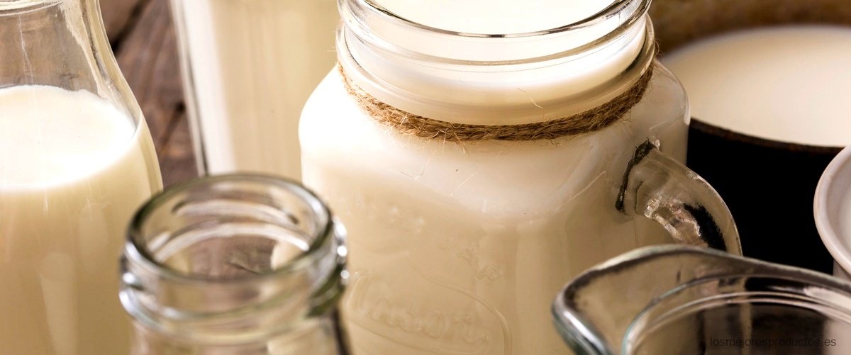 ¿Qué cultivos lácticos se utilizan para elaborar yogur?