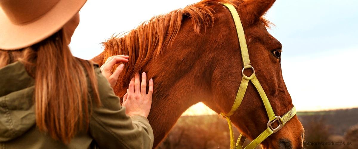 ¿Qué efecto produce la cola de caballo?