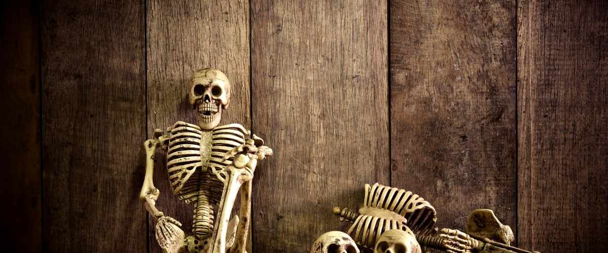 ¿Qué es el esqueleto humano para niños de preescolar?