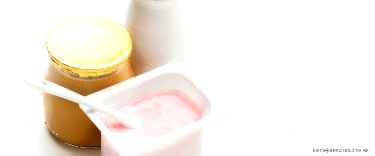 ¿Qué es la fermentación láctica del yogurt?