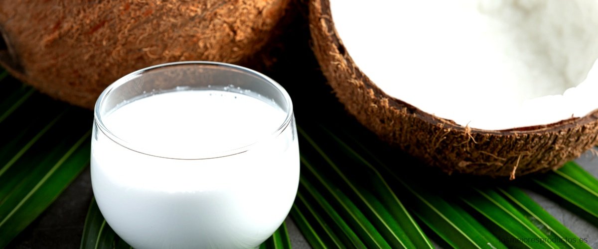 ¿Qué es la leche de coco orgánica?
