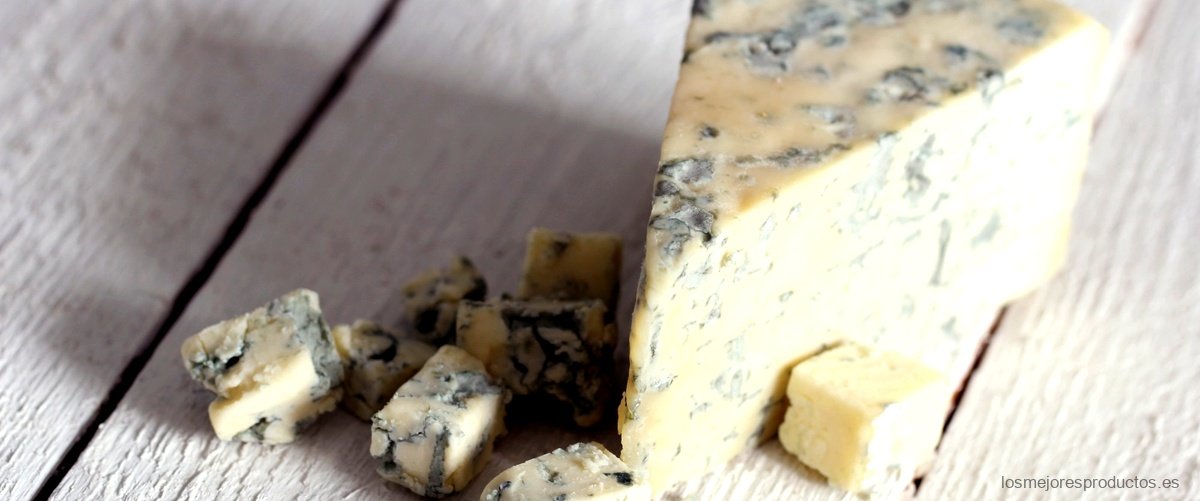 ¿Qué es lo azul del queso Roquefort?