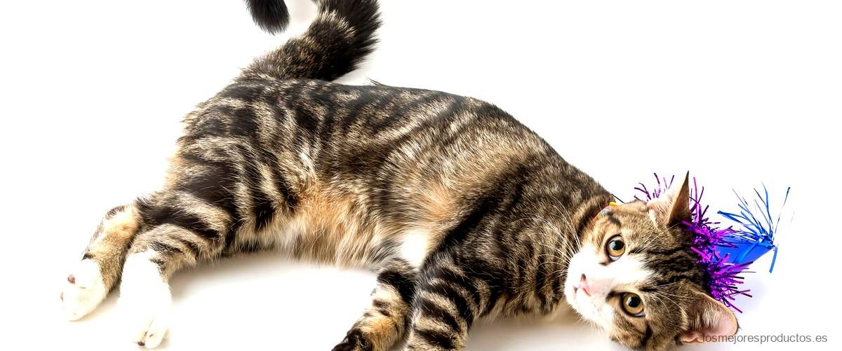 ¿Qué es Milbemax para gatos?