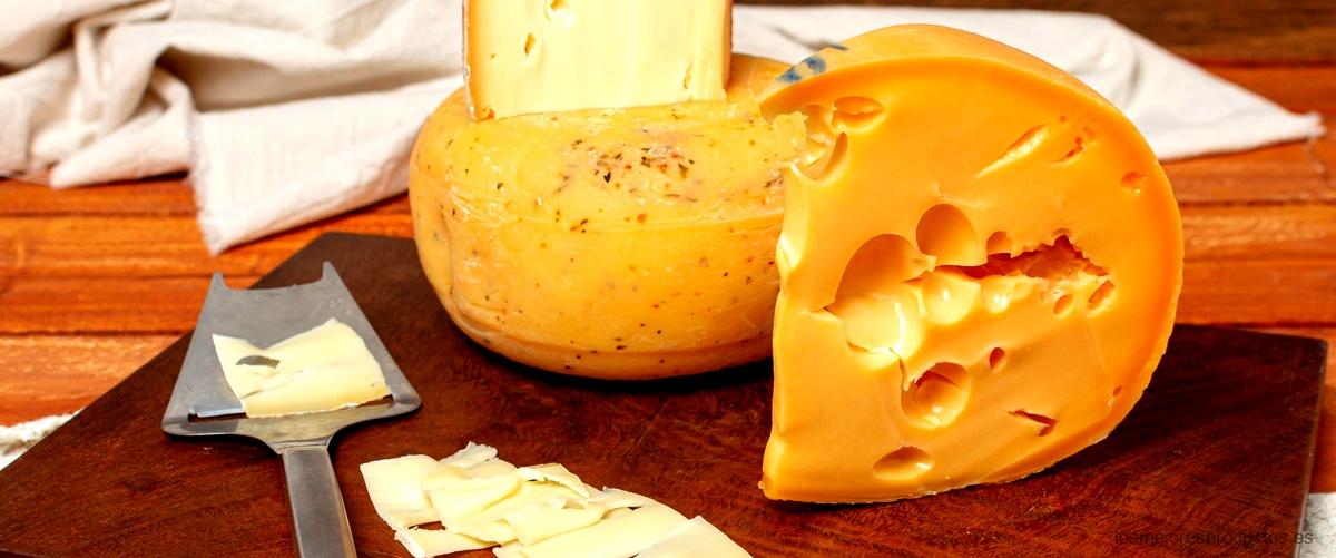 ¿Qué es un queso semicurado?