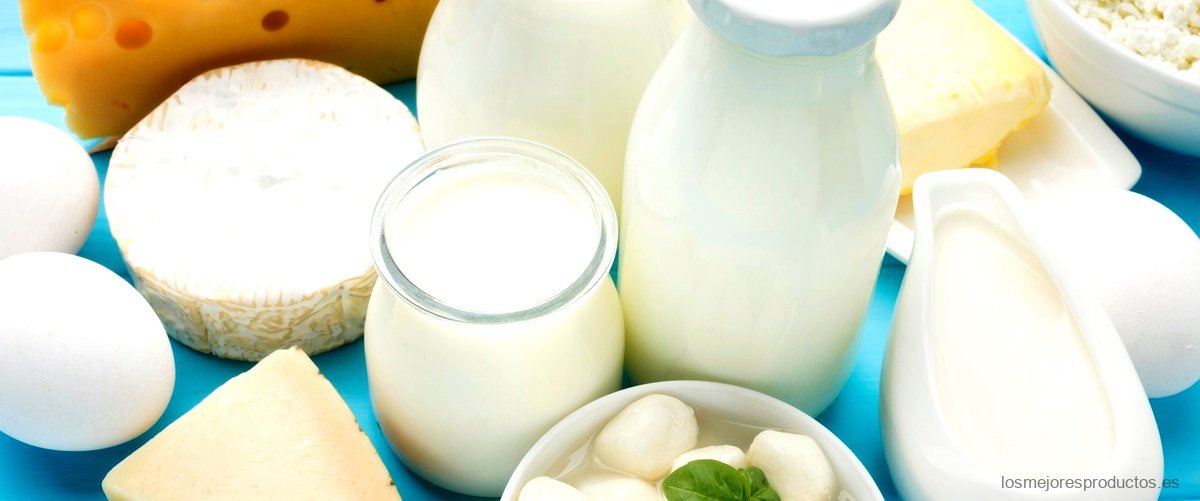 ¿Qué marcas de leche no contienen lactosa?