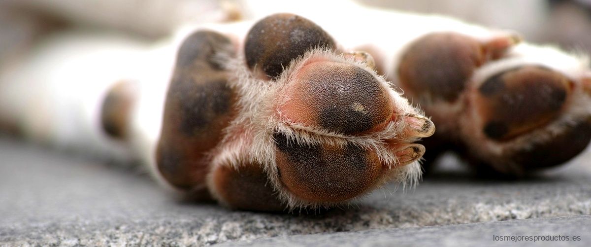 ¿Qué medidas tienen las patas de un somier?