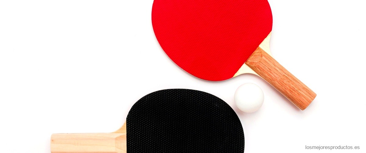 ¿Qué paletas de ping pong usan los profesionales?
