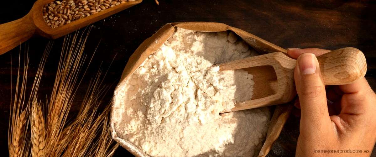 ¿Qué pasa si uso harina común en lugar de harina de fuerza?