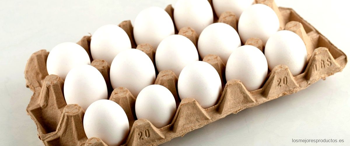 ¿Qué significa huevos de gallinas camperas?