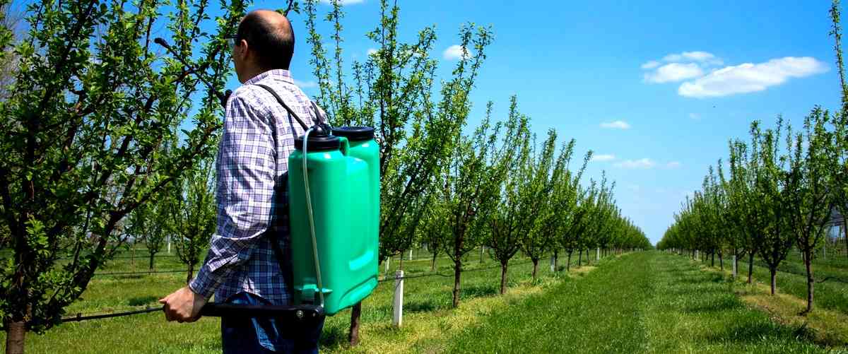 ¿Qué son los escanciadores de sidra?