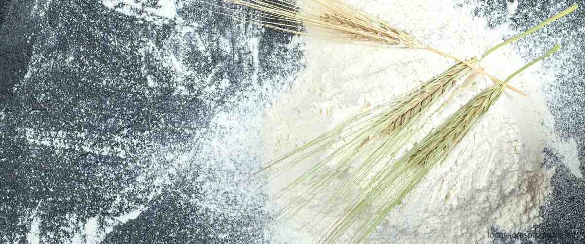 ¿Qué tan saludable es el rollo de arroz?